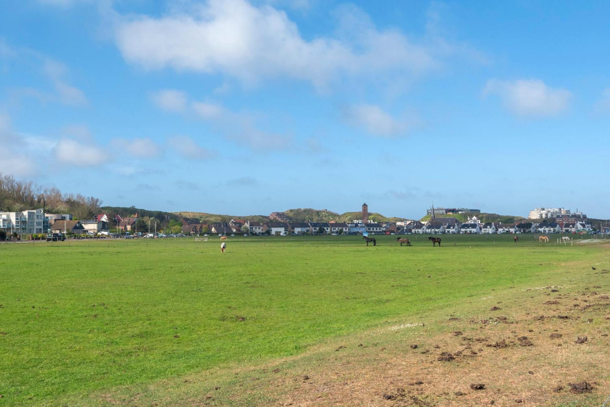 Wijkiki Surf House Apartman Wijk aan Zee Kültér fotó