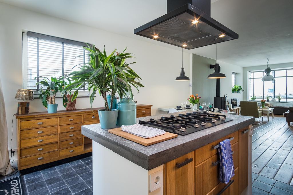 Wijkiki Surf House Apartman Wijk aan Zee Kültér fotó