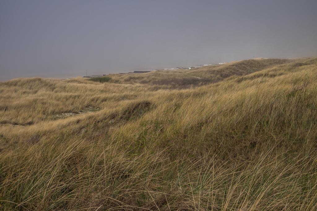Wijkiki Surf House Apartman Wijk aan Zee Kültér fotó